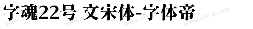 字魂22号 文宋体字体转换